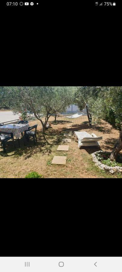 Apartman Marija Bibinje Exterior foto